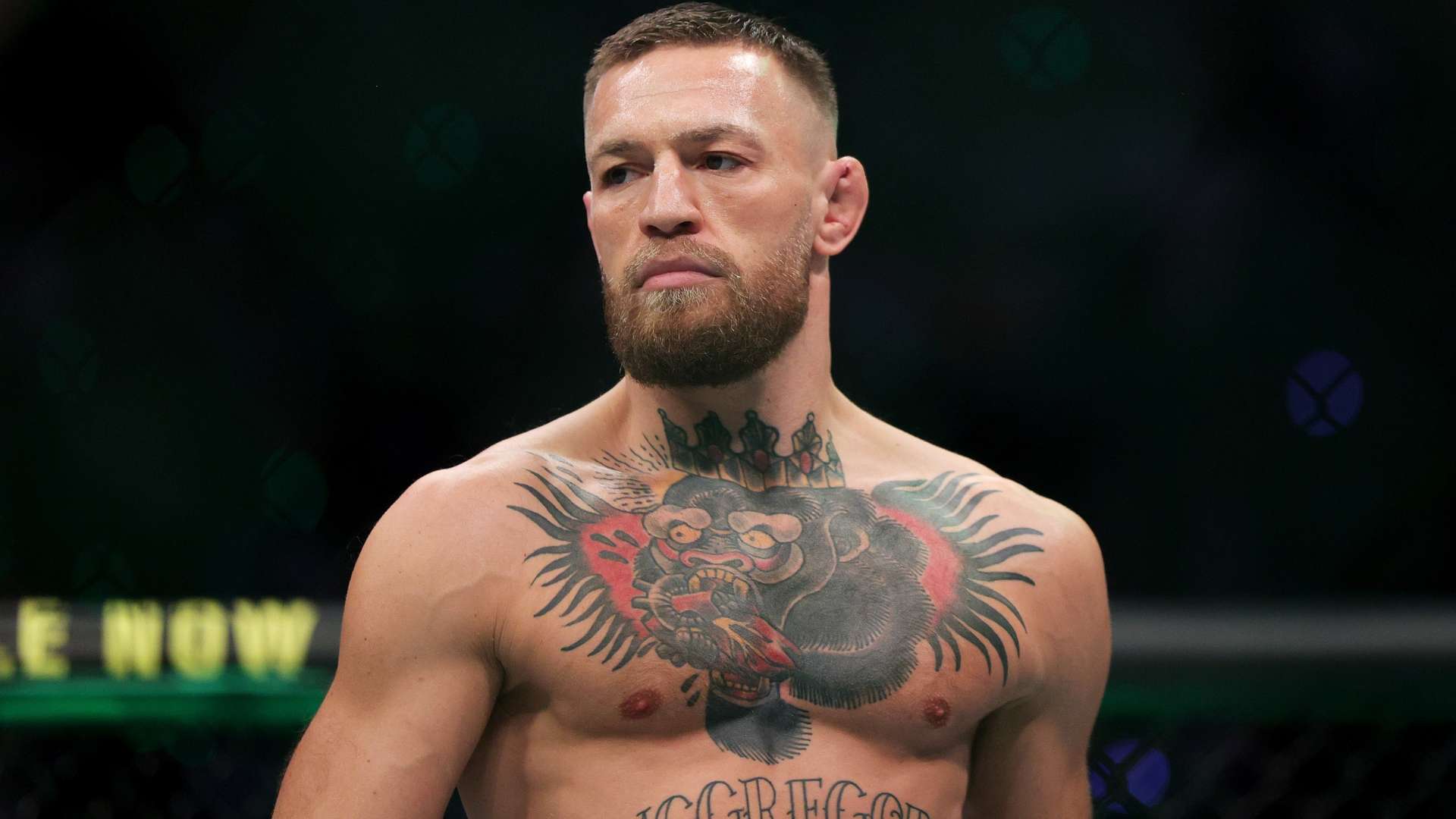 对阵灰熊的 对阵灰熊的